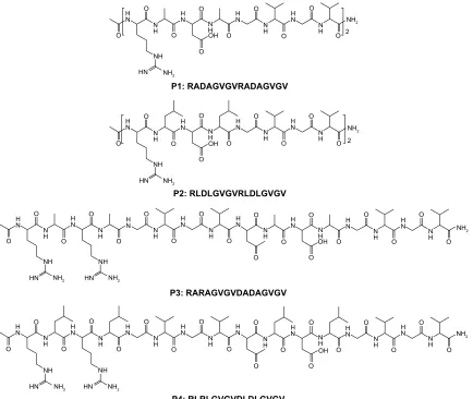 Figure 1 amino acid sequences of the designed peptides 1–4 used in this study.Note: The N- and c-termini of these peptides were blocked by acetylation and amidation, respectively.
