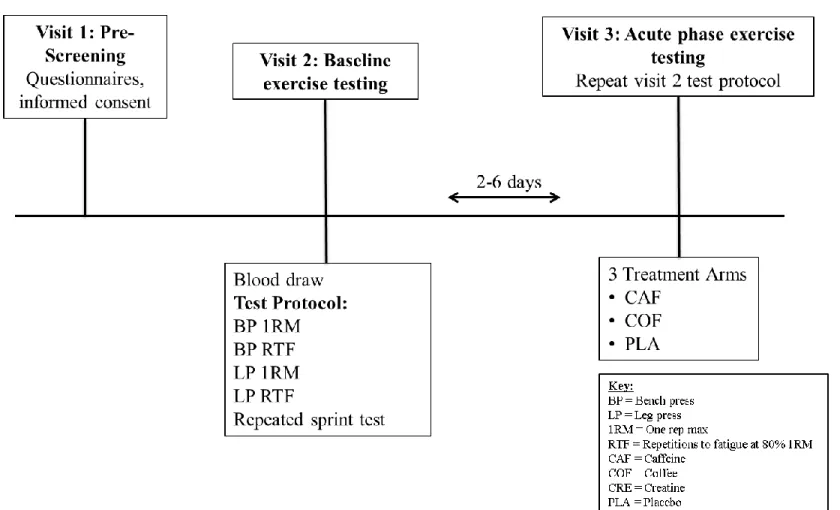 Figure 1: Experimental protocol schematic for the acute phase of supplementation 