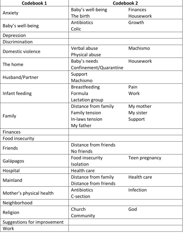 Table 4.1 Qualitative analysis codebooks  
