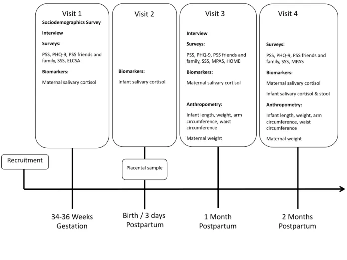Figure 4.1 Data collection summary 