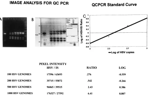 TABLE 1. QC-PCR and clinical dataa