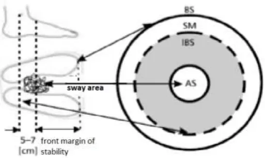 Figure 1. Heuristic model of human stability [4]. 