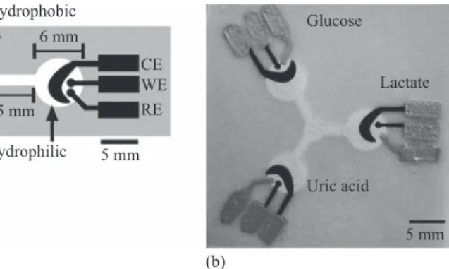 Figure 2.8  Schematic of an electrochemical paper-based microfluidic device  including three electrodes (a), and image of an actual device for  detecting glucose, lactate, and uric acid (b)