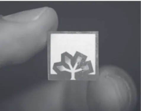 Figure 2.5  A paper-based microfluidic device for detecting glucose (left zones)  and protein (right zones) 