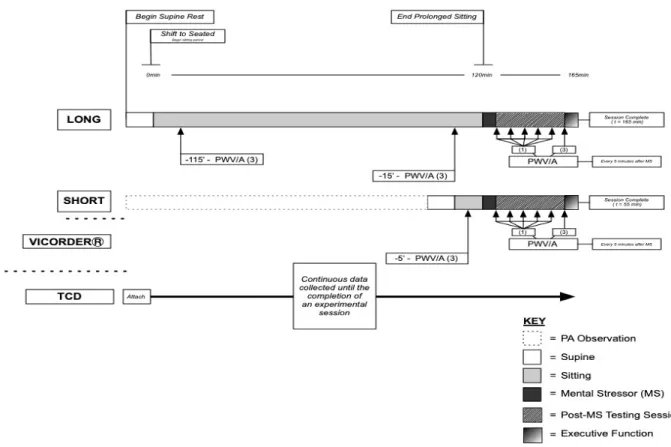 Figure 2: An overview of the experimental visits: SHORT and LONG conditions for  cerebrovascular and executive function measurements