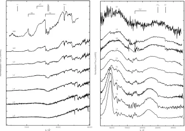 Figure 7 Spectral Sequence from M6 to T8 in the optical (left panel) and in the near infrared