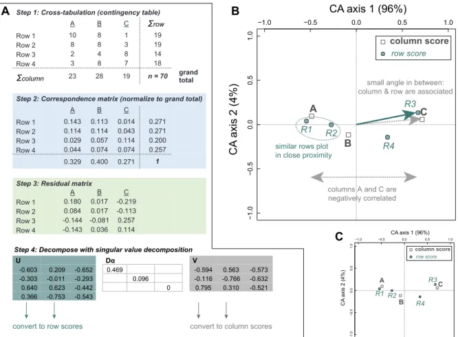 Figure 2. Example of steps for analyzing count-based tables with correspondence analysis