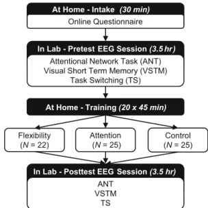Fig. 1 Schematic overview of the study design