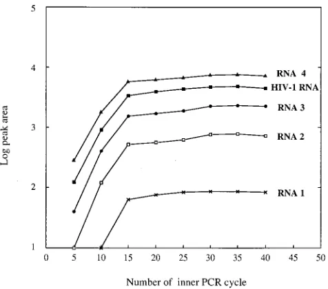 FIG. 3. PCR cycle test for RNA competitors and HIV-1 RNA target; Am-pliﬁcation kinetics of inner PCR for a low-copy-number mixture of RNA com-