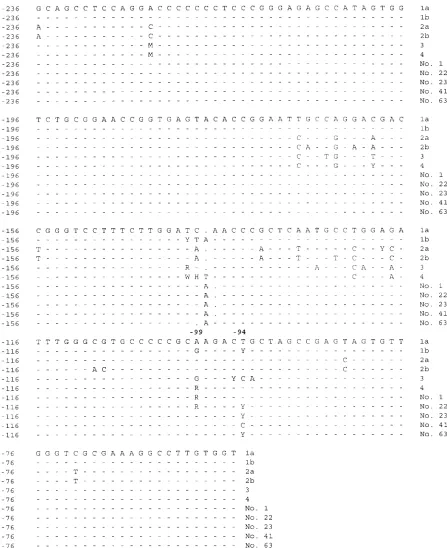 FIG. 2. 5�samples from this study with variations in nucleotidesnucleotides UTR nucleotide sequence alignments of common HCV subtypes identiﬁed (19) (M, A or C; R, A or G; W, A or T; Y, C or T)