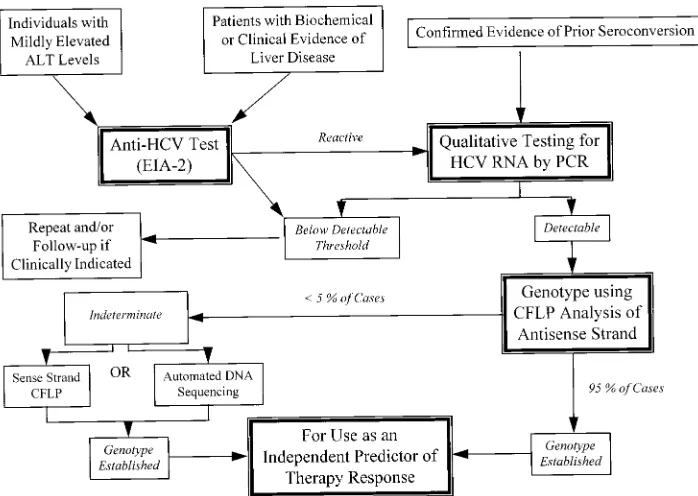 FIG. 3. Broad schematic of a proposed algorithmic approach for the identiﬁcation and genotyping of HCV