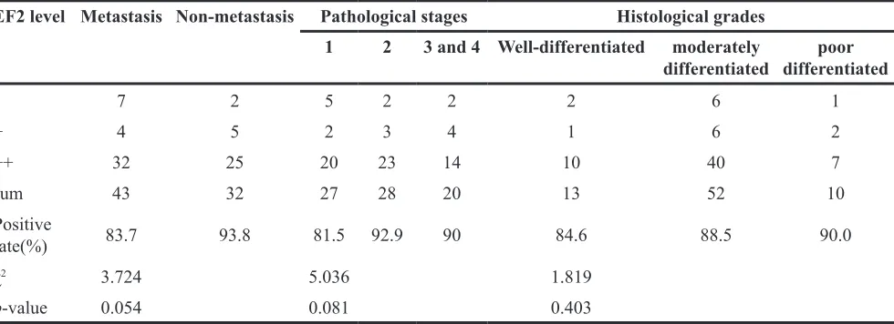 Table 1: EF2 expression in LSCC and peri-cacinoma lung tissues of tissue microarray