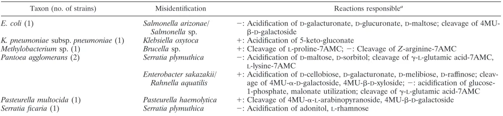 TABLE 2. Reactions responsible for misidentiﬁcations in the strains tested