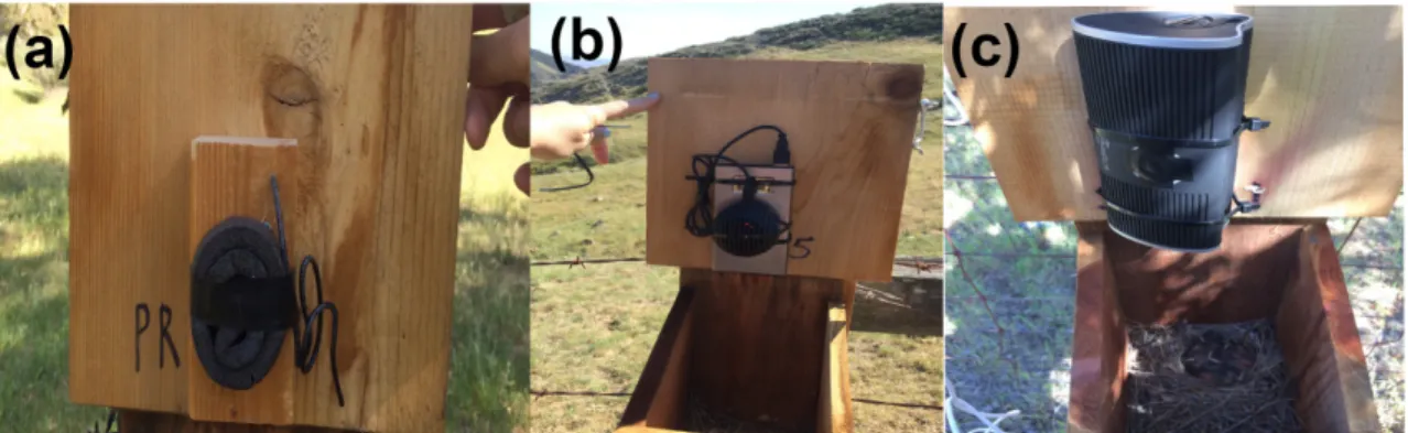Figure 2: Treatments fixed to the roof of each nest box: (a) Control, (b) Satachi system  and (c) StormMp3 system