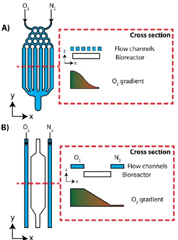 Fig 1.2 Design examples of microfluidic oxygen gradient generators. (A) Network mixing  devices have two gas inputs and mix them together in series of split channels