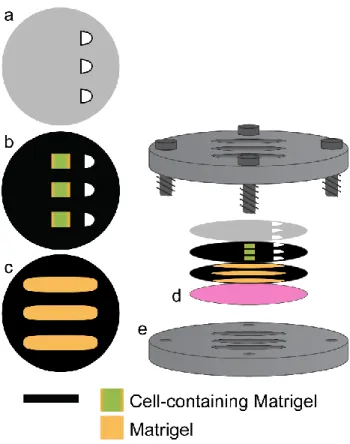 Figure 2.1 Schematic of the experimental setup used in this chapter. A layered structure 