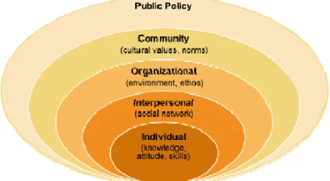 Figure 1. The social ecological model. Adapted from "Toward an experimental ecology of  human development,” by U