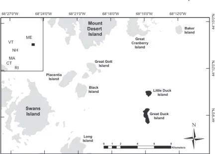 Figure  1.  Study  area,  showing  location  of  Great  Duck  and  Little  Duck  Islands, Maine, USA