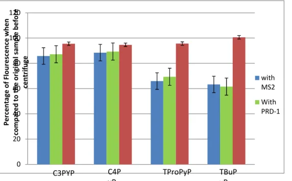 Figure 4.2 The porphyrin binding to bacteriophages MS2 and PRD-1 measured  via analysis of the supernatant after ultracentrifugation* 