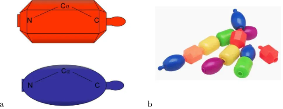 Figure 2.1: Snap-Lock Beads. a) Each snap-lock bead has a hole at one end (left) and a knob on the other (right)