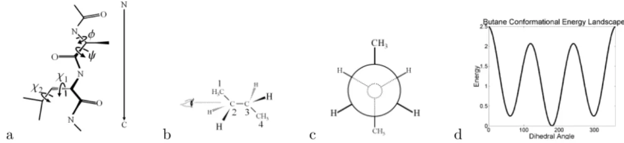 Figure 2.4: Protein Geometry. Protein structural flexibility results from rotatable backbone (φ and ψ) and side chain (χ 1 , χ 2 