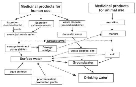 Figure 1.1: Pathways for EDCs in Drinking Water Sources (Herberer, 2002) 