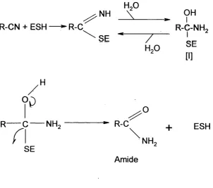 Figure 1.2 The proposed reaction mechanism of NHase (Asano et al, 1982).