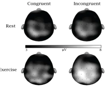 Fig 2.3. Topographic representation of the P3 component as a function of session and  task (Hillman et al., 2009)  