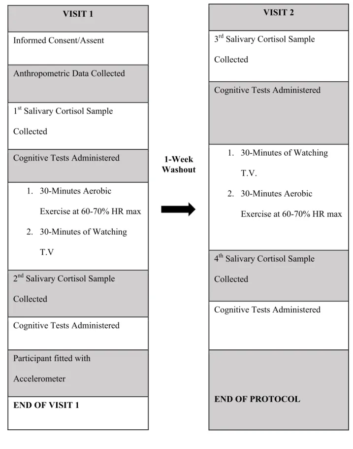 Table 3.1. Schematic Representation of the Study Protocol 
