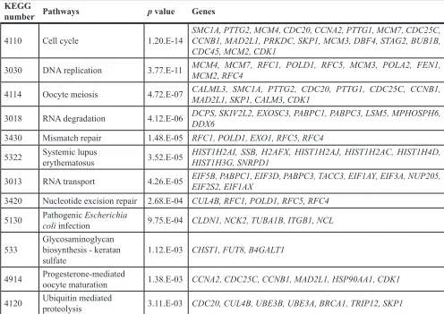 Table 5: Significantly downregulated pathways by knockdown of UHRF1 in 786-O cells