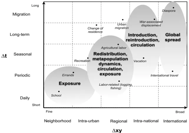 Figure 3. Theorized relationships between migration and infectious disease transmission  across spatial and temporal scales