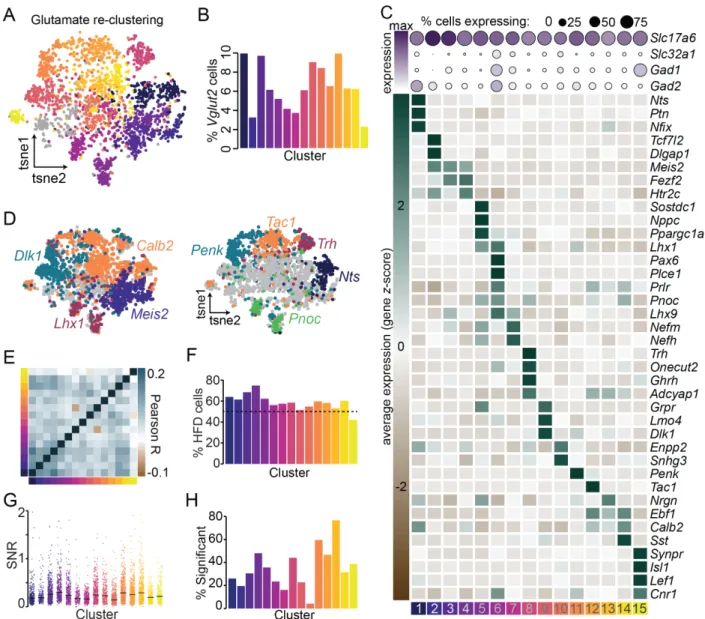 Figure 6. Distinct subtypes of LHA Vglut2  neurons are modified by HFD. A. Reclustered  glutamatergic  neurons  plotted  in  t-SNE  space