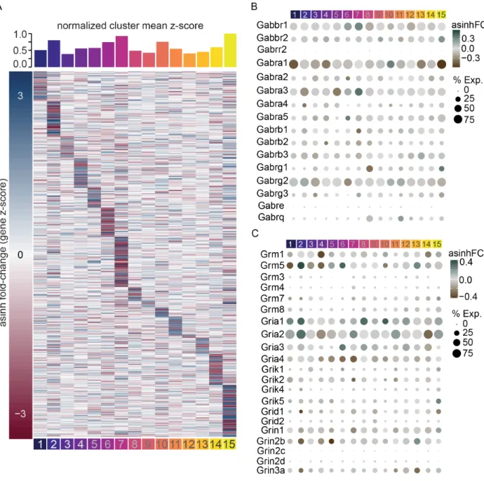 Figure  7.  Modification  of  Vglut2  subclasses  by  HFD  and  GABA  and  Glutamate  receptor expression in glutamate subclasses