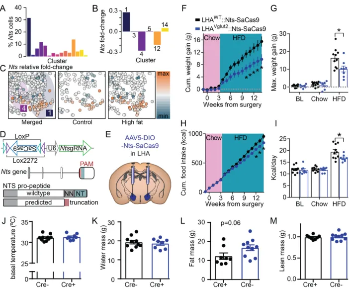 Figure  9.  SaCas9-mediated  loss-of-function  of  Neurotensin  in  LHA Vglut2   neurons  attenuates HFD-induced weight gain