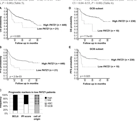 Figure 7: PATZ1expression, as assessed by Log Rank test ((and Visualization platform (http://r2.amc.nl)