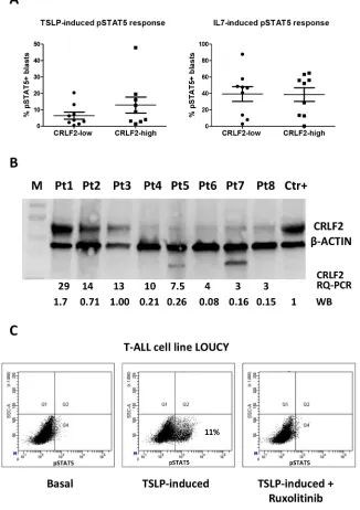 Figure 5: TSLP-induced pSTAT5 response and intracellular expression of CRLF2. A. Analysis of TSLP-induced pSTAT5 signaling in 18 T-ALL patients according to their CRLF2 status: 9 CRLF2-low and 9 CRLF2-high samples