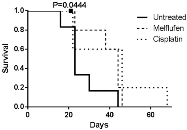 Figure 6: Kaplan-Meier survival curve of mice treated with melflufen and cisplatin. Mice treated with cisplatin and melﬂufen live longer than untreated mice, after IP injection of SK-OV3-Luc IP1 cells