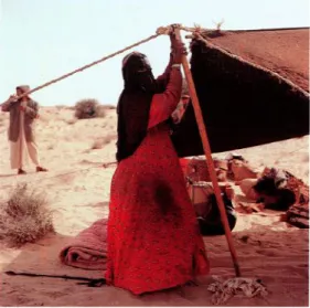 figure 5). This demonstrates that there did not exist an explicit set of expected gender  performative  roles,  and  there  wasn’t  a  designated  role  for  men  and  women