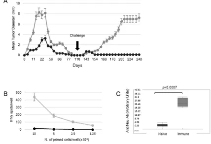 Figure 1: Immunization strategies against a HER-2 expressing transplantable tumor. 1-25 cells 110 days later