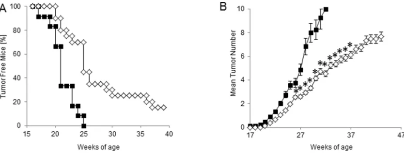 Figure 5: Effect of CTX+ACT/IS prophylactic vaccination on the spontaneous growth of mammary tumors in tumor-free HER-2/neu transgenic mice.with chemo-immunotherapy (empty diamond), consisting of CTX+ACT/IS