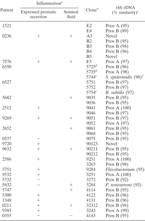 TABLE 1. rDNA clones from idiopathic-prostatitis patients