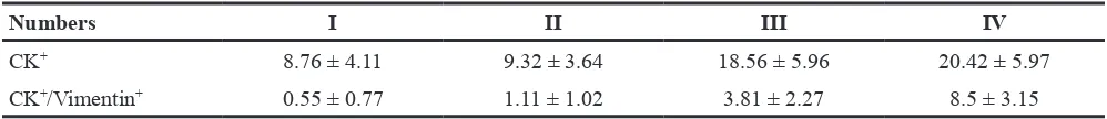 Table 4: Numbers of CK+ and CK+/Vimentin+ CTCs in 2 mL patient blood of the RCC patient cohort