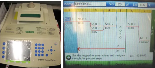 Figure 12 - BioRad Gradient Thermocycler C1000 (left) and display (right). 