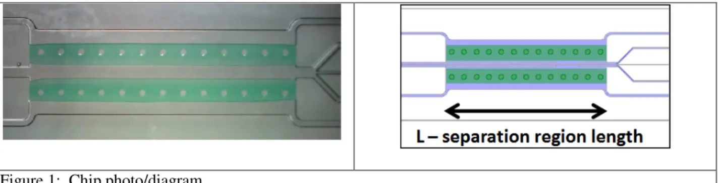 Figure 1:  Chip photo/diagram 