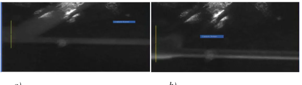 Figure 3:  Fluorescence Intensity vs Relative Channel Location for 2 µg SSD/mL at 0 V (a) and 50 V (b)