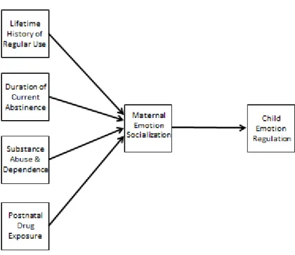 Figure 1.  Substantive model indicating that maternal emotion socialization behaviors will 