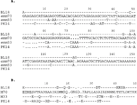 FIG. 3. (A) Aligned nucleotide sequences of STBL18, emmbut was identiﬁed more recently (1, 31)