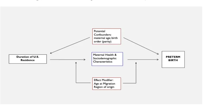 Figure 1.2. – Aim 1: Conceptual Model (Research Question 1b)