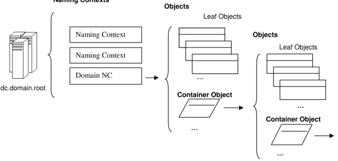Fig.  6 Domain Controllers, Naming Contexts, Containers and Objects. 