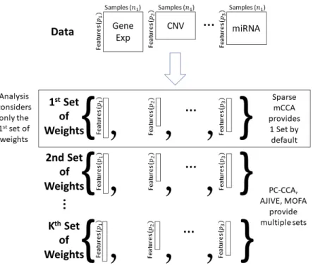 Figure 2.2: Each method shown in the figure generates a set of weights for each data type